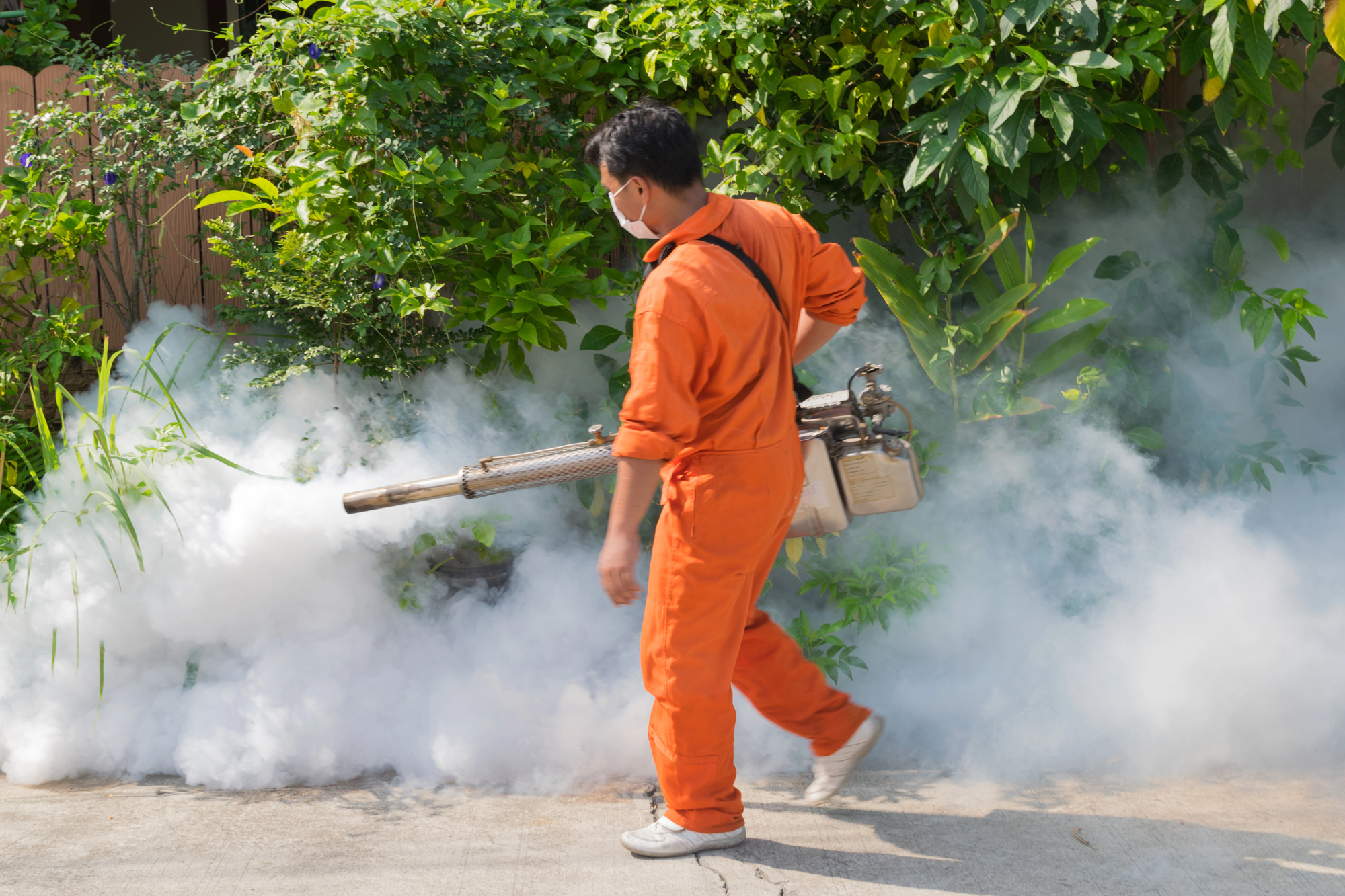 control plagas con nebulizacion